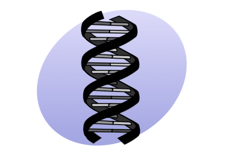 Timidezza e predisposizione genetica