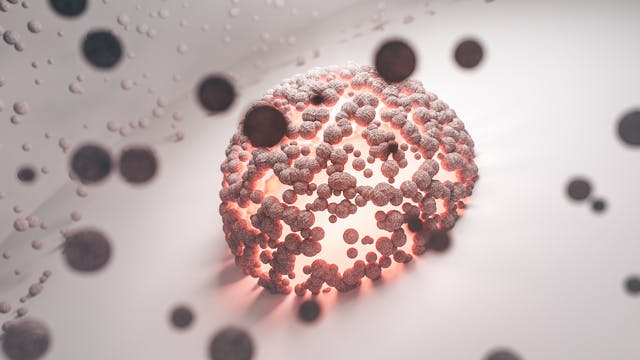 Le variazioni del gene RGS2 portano alla timidezza?