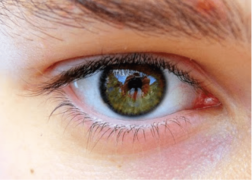 Fra il dire e il fare - Consulenza online